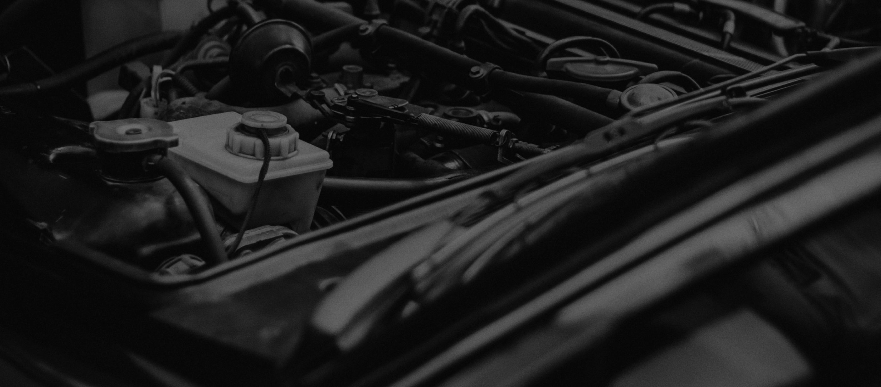 フロッグオート 沿革